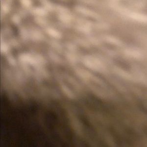 Meet your Posher, Cade